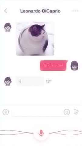 ddos压力在线测试平台软件程序维护界面